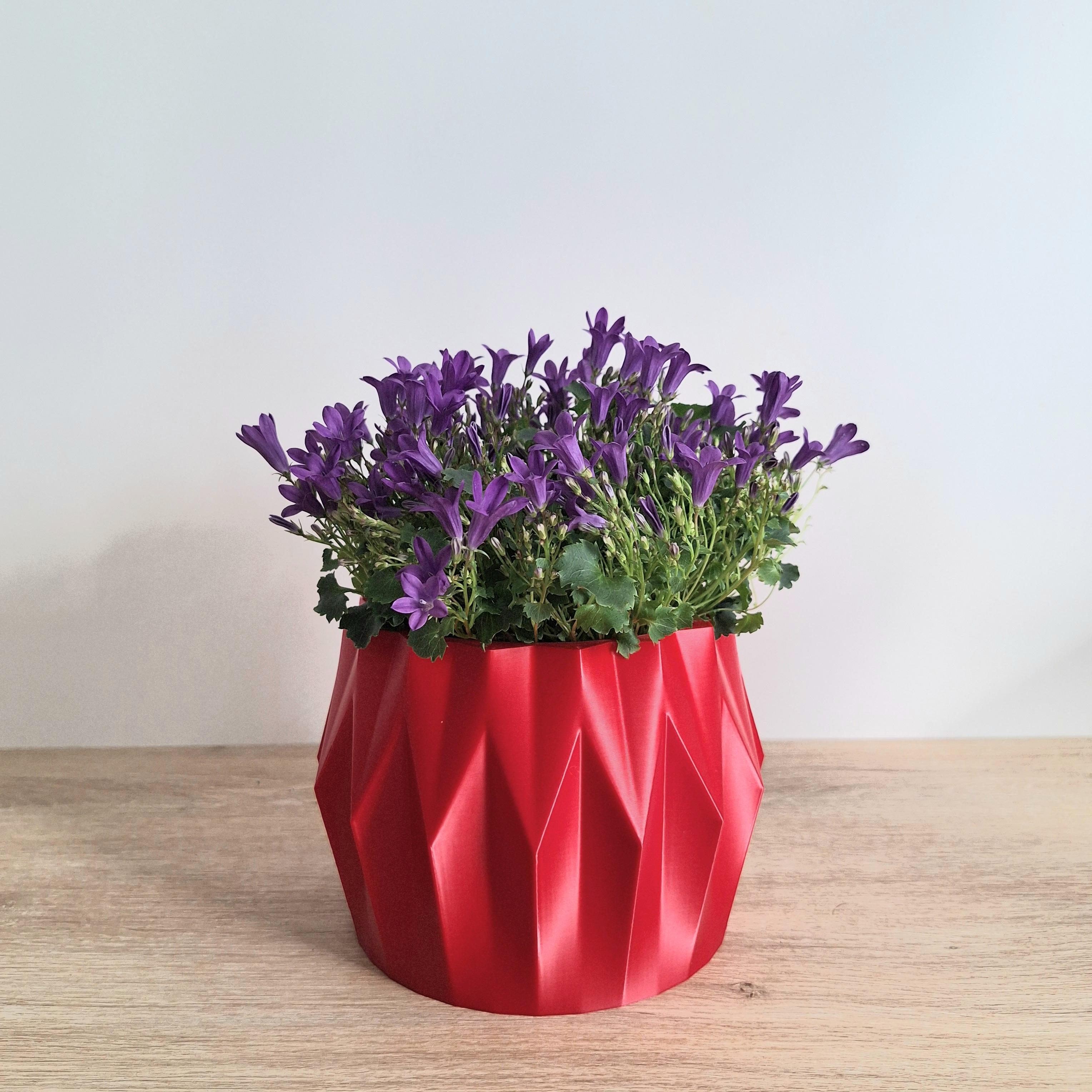 Impression 3D : sublimez vos plantes d’intérieur avec style